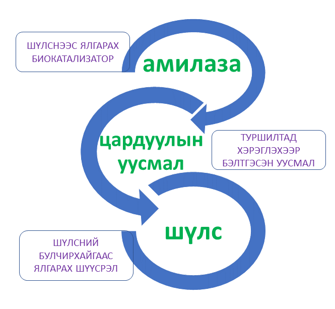 Мэдлээ | Цахим контент